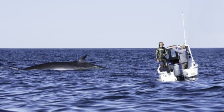 WhatsApp-Image-2026-02-05-at-13.24.05-750x375