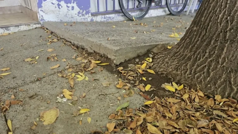 veredas-cipo-multa-sam